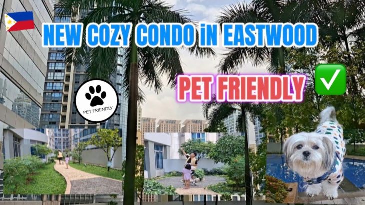 大型犬も、ペットに優しい街造りイーストウッド Pet Friendly Condo in Eastwood Palm Tree Avenue, Quezon City, Manila 🇵🇭