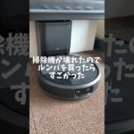 Roomba Max 705を買ってみた感想です。ペットの抜け毛に悩むご家庭に最適 Voice：ずんだもん　#roomba #掃除#ペット#猫のいる暮らし#家電