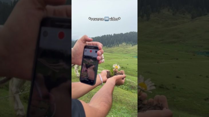 Show the beauty of nature in Kashmir 🌱 my first video here ❤️