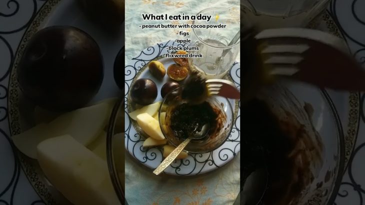 What I Eat in a Day After Losing 110 Pounds | Healthy & Sustainable | day 8