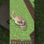 Which Pet Would You Adopt? Choose Wisely! 🐾✨