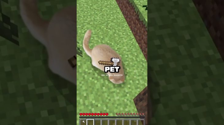 Which Pet Would You Adopt? Choose Wisely! 🐾✨