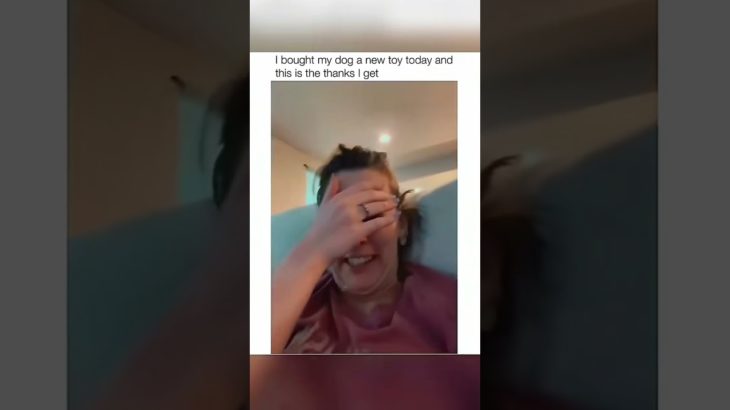 #funnydogs#cute#doglover#doglife#cure#dogshorts#pet#doglife#dogshorts