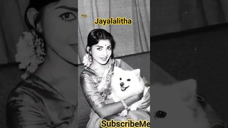 jayalalitha  with her pet    #jayalalitha #vijay  #modi #ai #3d   #tamil #shorts #shortsfeed