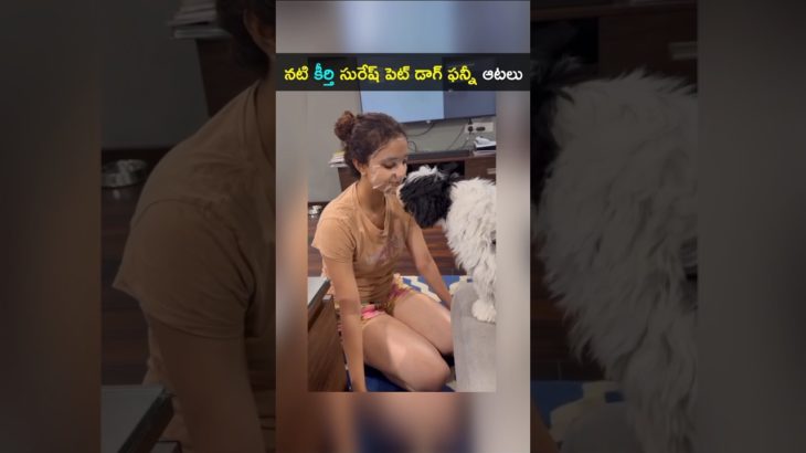నటి కీర్తి సురేష్ పెట్ డాగ్ తో ఆటలు డాగ్ కి ముద్దు #keerthySuresh pet #heroineKeerthi #shorts