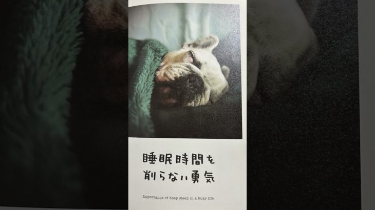 人生はワンチャンス！ #名言 #love #music #vaundy #犬 #ペット #人生 #夢をかなえるゾウ#読書 #元気 #本の紹介