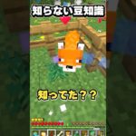実はキツネはペットに出来る #shorts #マイクラ #minecraft