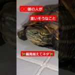 アナタの部活は？🐢⚽️#short#亀#ウンキュウ#ペット#turtle #人気 #癒し #流行る #爬虫類 #かめ#部活#ボール#楽しい#ネタ#爆笑#面白い#笑える#ウケる