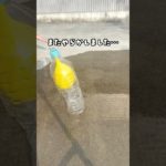 【検証してみた結果！ペットボトル噴水】#おうちあそび #おうち遊び #水遊び #ペットボトル #廃材遊び #夏休み