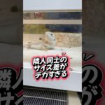 隣人同士のサイズ差がデカすぎる！ #爬虫類 #トカゲ #ペット #かわいい #癒し #おもしろ