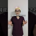 更年期太りに効く栄養素 #ダイエット #食事#運動#筋トレ