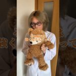 犬は飼い主が好きすぎるとこんな行動をする #ペット