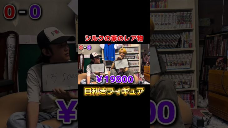 フィッシャーズシルクの家のフィギュアが高すぎた!!