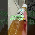 お茶🍵をペットボトルで飲んでいる、そこのあなた‼️　注意してください😭　最後のドロドロが危ない！　#コンビニ