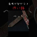 【意味が分かると怖い話】ペット #怖い話 #意味怖 #ホラー