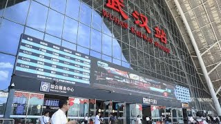 武漢の高速鉄道、ペットの託送サービス開始