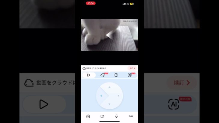 ペットカメラが気になる子猫🌸🎀