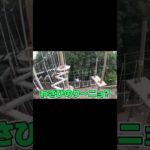 個人的に好きなフィッシャーズ集