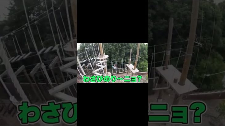 個人的に好きなフィッシャーズ集