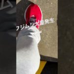 フナムシ大量発生してて今話題になってる#フィッシャーズ #本田圭佑 #大量発生 #本田圭佑 #ふわっち #虫 #虫 #やべえ動画#グロ#グロ動画#ちーこドリル