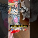 【犬飯】ペット用のおやつは高い。