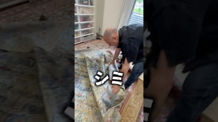 【シミ抜き編】ワイン🍷コーヒー☕️のしぶといシミ！ペットのお粗相跡🐶全部なかったことに😉