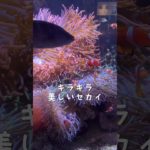 あつい日が続いていますね💦少しでも涼んでくださいね☺️