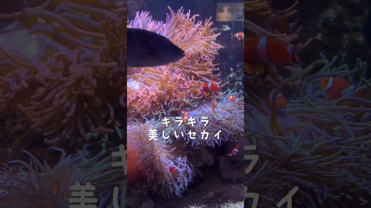 あつい日が続いていますね💦少しでも涼んでくださいね☺️