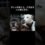 目の見えない犬を導いたのは…親友でした
