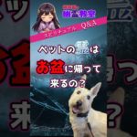 【スピリチュアル】ペットの霊はお盆に帰って来るの？　#ペット#犬 #猫#お盆