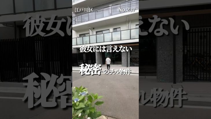 彼女には言えない 秘密チル物件#ペット可賃貸 #ペット可物件 #東京ペット可賃貸 #東京ペット可物件 #賃貸 #ルームツアー  #西葛西駅