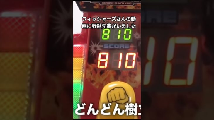 デコピン測定器の動画です（フィッシャーズ）