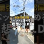 神奈川でペット可物件お探しなら…わんにゃん不動産🐶🐱💕