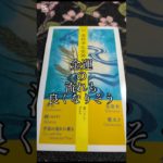 今日の1枚　金運の流れも、、#自分改革 #ペットの気持ち #霊視 #透視#癒やし #開運 #金運アップ #神社参拝 #遠隔参拝