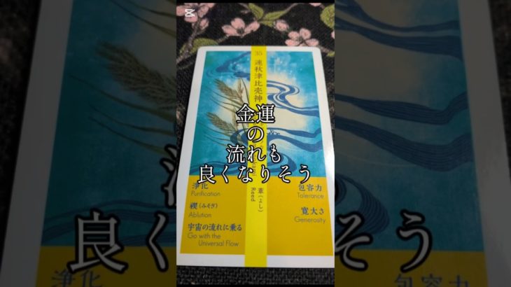 今日の1枚　金運の流れも、、#自分改革 #ペットの気持ち #霊視 #透視#癒やし #開運 #金運アップ #神社参拝 #遠隔参拝