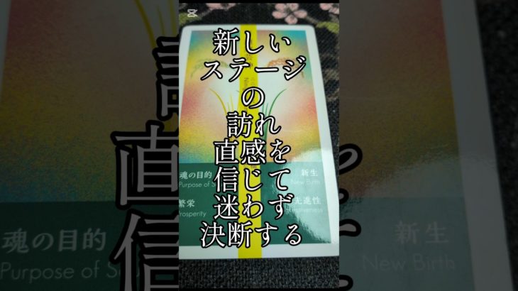 新しいステージ、、今日の1枚　#自分改革 #ペットの気持ち #霊視#透視#神社参拝 #遠隔参拝 #開運#金運UP#癒やし#パワーストーンブレス