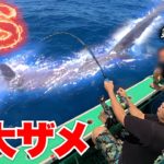 【危険】100kg越えのモンスター級人喰いザメを釣り上げれるか！？