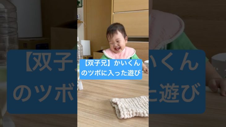 【生後11ヶ月】かいくんペットボトル倒してめちゃくちゃ笑ってるの可愛い😍#双子 #baby #mixtwins #cute #cute #twins #生後11ヶ月#赤ちゃんのいる生活