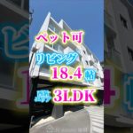 ペット可‼️リビングが18.4帖の3LDKマンション🤩お問い合わせは【ＨＰ】https://fukuoka-online-fudousan.com/