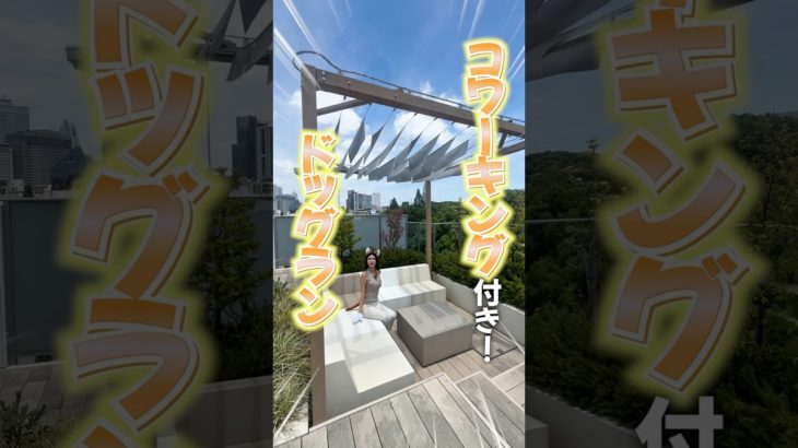 屋上ドッグラン付き！代々木公園近くのペット可1LDK🐶#shorts