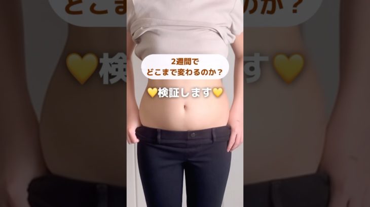 2週間検証ダイエットめっちゃズボラに優しいトレ