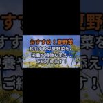 毎日更新！髭犬ダイエット部です４29回|*･ω･)ﾉチャンネル登録、好評価お願いします！ #ダイエット#雑学 #女性におすすめ#夏野菜