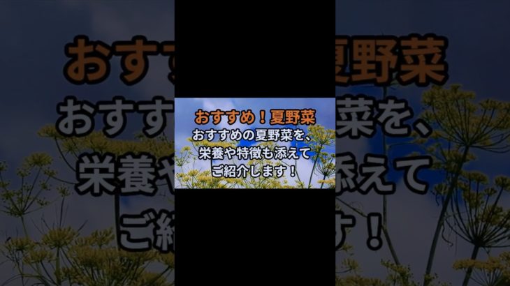 毎日更新！髭犬ダイエット部です４29回|*･ω･)ﾉチャンネル登録、好評価お願いします！ #ダイエット#雑学 #女性におすすめ#夏野菜