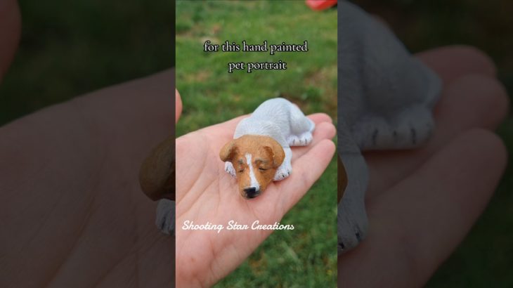 3D resin pet portrait with fur