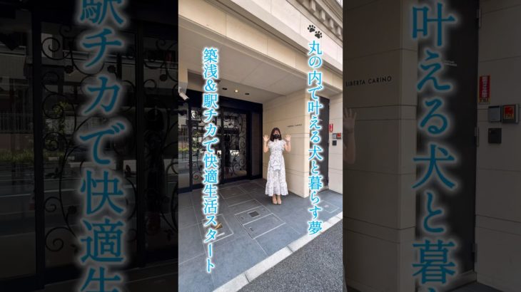 久屋大通まで徒歩4分。光もインテリアも、ペットも私も、ぜんぶ映える角部屋。 #名古屋賃貸 #賃貸