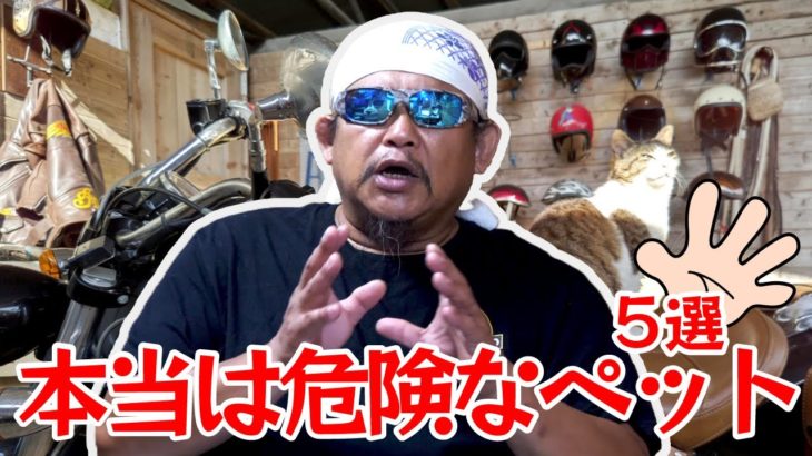 本当は危険なペット！5選