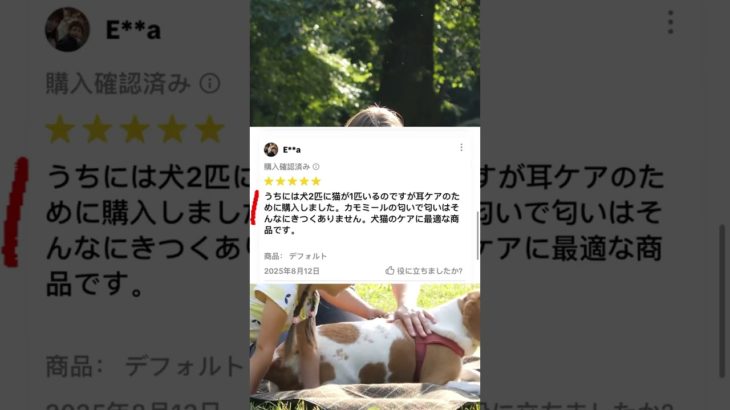 公式発信！6 人の本物のペット飼い主様が Puainta 耳ドロップを称賛し、耳のにおいを効果的に減らし、使いやすいと評しています。当社は引き続き最適化を行い、皆様が安心して選べるペットブランドを目指