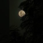 Beauty of Moon 🌚 #aesthetic #song #music#fypviralシ