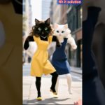 Cute cat sister comedy dancing video | Pet trending dance video #catvideos #shortvideo #shorts #cats