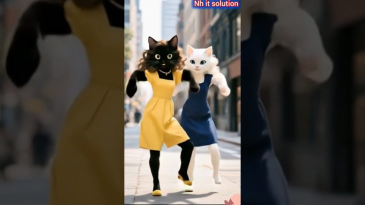 Cute cat sister comedy dancing video | Pet trending dance video #catvideos #shortvideo #shorts #cats
